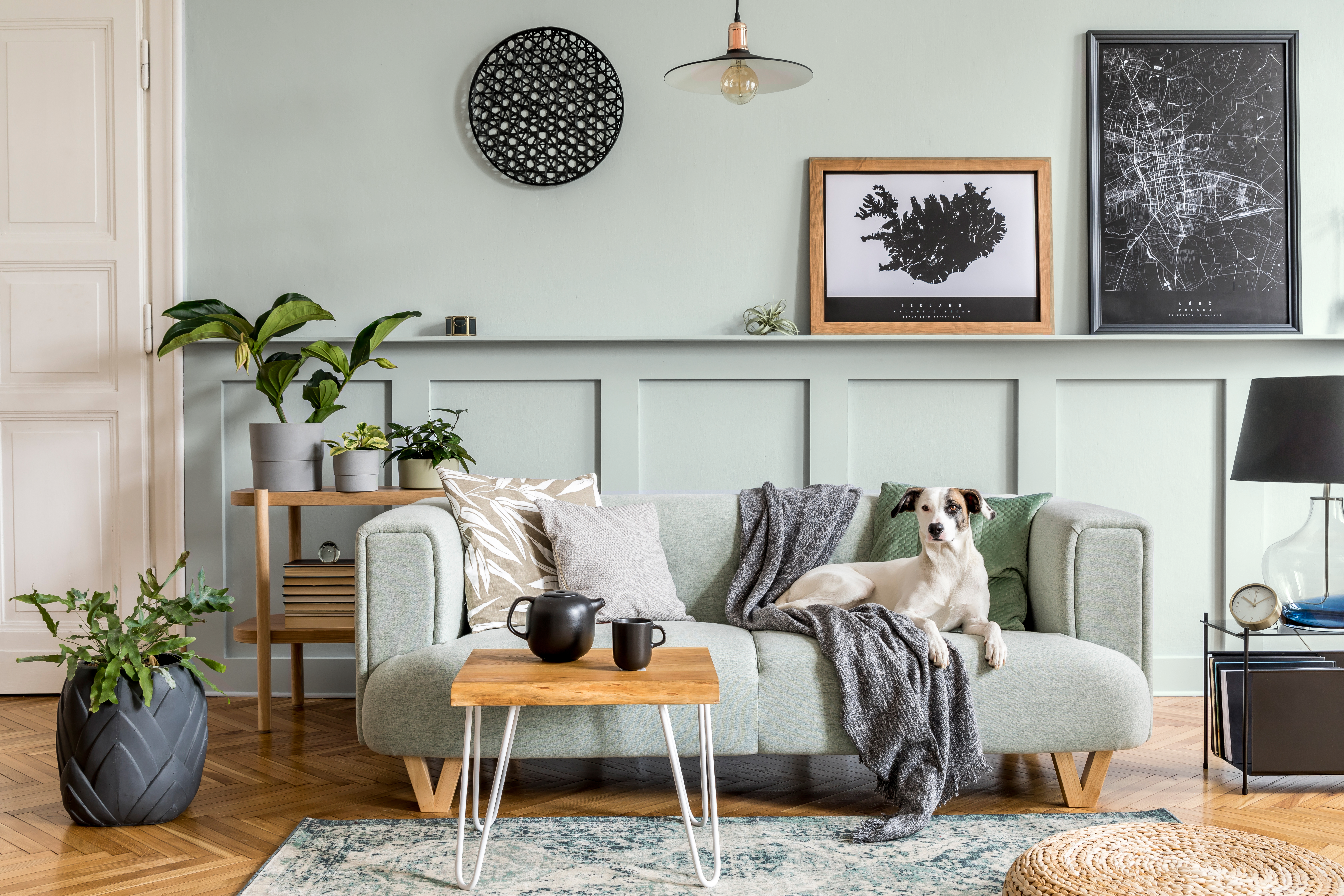 Sala com tons de cinza. O ambiente possui folhagens, diversos itens e um cão deitado sobre um sofá.